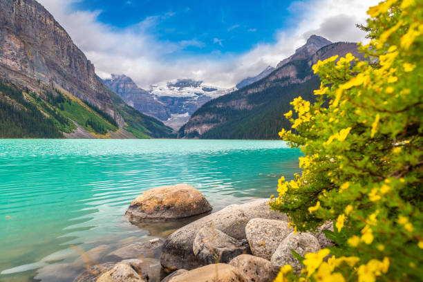 istock Lake Louise, Banff National Park 1361152111