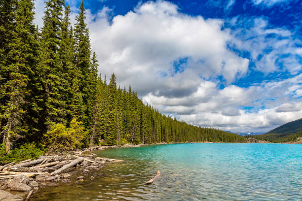 istock Lake Moraine, Banff National Park 1361156231