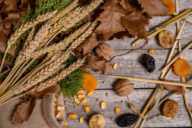 istock Christmas oak tree and dried fruits 1361156329
