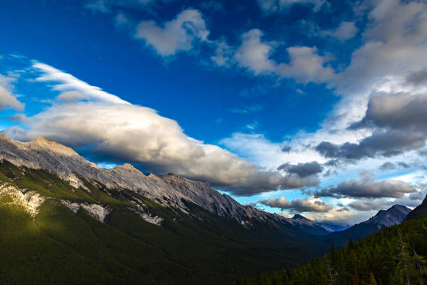 istock Bow Valley in Banff national park 1361157900