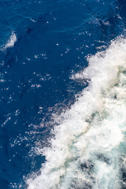 istock Trace on water surface in the sea and sailing vessel 1361158631