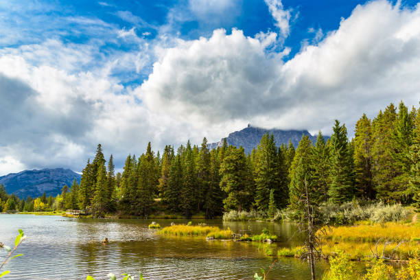 istock Mountain lake in sunny day 1361158776