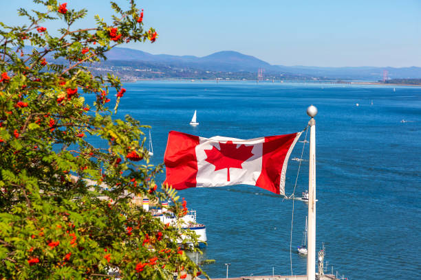 Canadian flag against blue sky