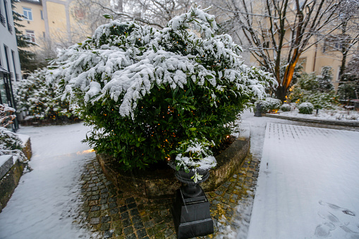 First snow in Munich