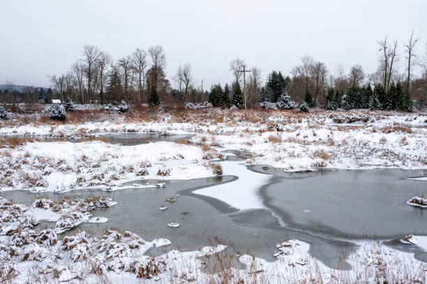 istock Jerry Sulina Park 1361183003