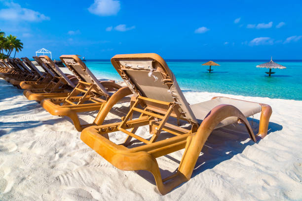 istock Sun bed and parasol at tropical beach 1361190091