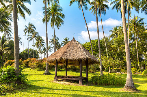 Gazebo at Luxury tropical resort  in a sunny day