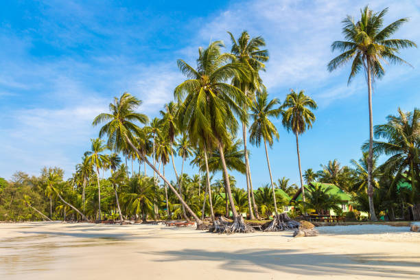istock Ao Phrao beach at Koh Kood island 1361191495