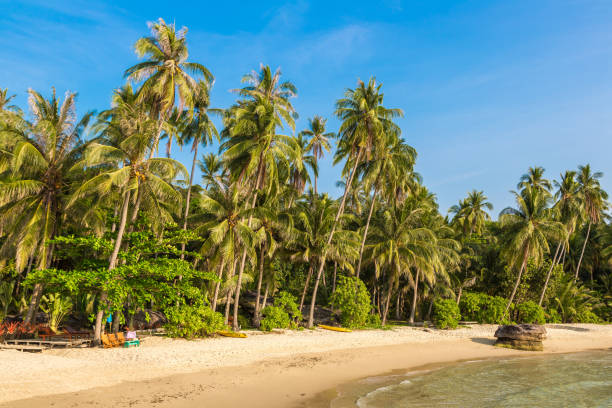 istock Tropical beach in a sunny day 1361191594