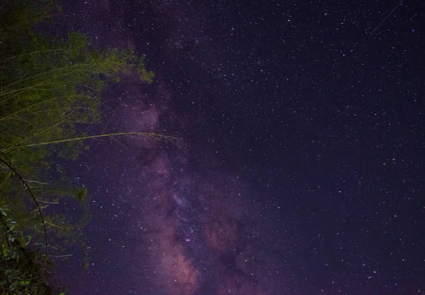 istock Shining milky way and bamboo tree picture 1361192153