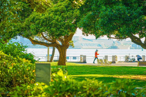 yamashita park, der in frisches grün gehüllt ist (minato mirai, yokohama) - nature parks stock-fotos und bilder