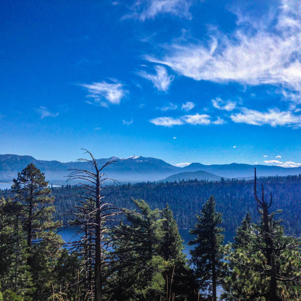istock Lake Tahoe Emerald bay pine trees. 1361197753