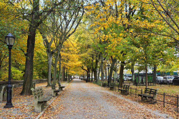 istock Tree lined sidewalk in northern Manhattan  in Riverside Park 1361198453