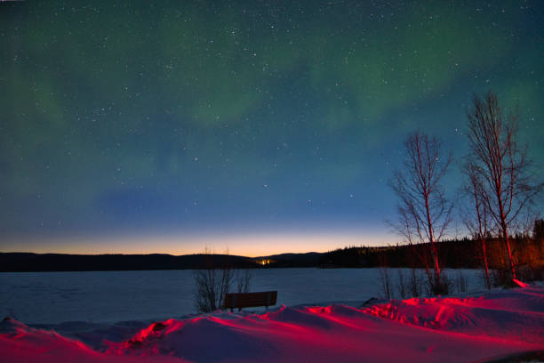 istock Northern Lights - Birch Lake, Alaska (USA) 1361200829