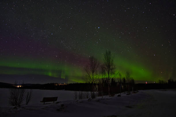 istock Northern Lights - Birch Lake, Alaska (USA) 1361201119