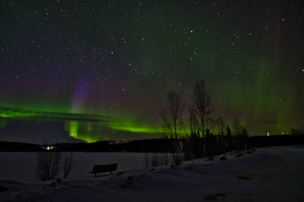 istock Northern Lights - Birch Lake, Alaska (USA) 1361201833