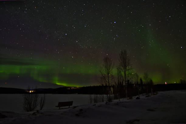 istock Northern Lights - Birch Lake, Alaska (USA) 1361201924