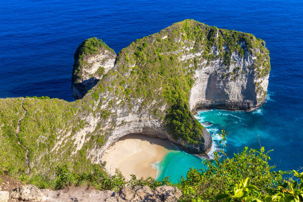 istock Kelingking Beach in Nusa Penida 1361202060