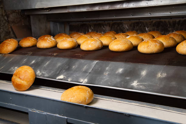 산업적 수단으로 빵의 컨베이어 생산. - bread bakery food processed grains 뉴스 사진 이미지