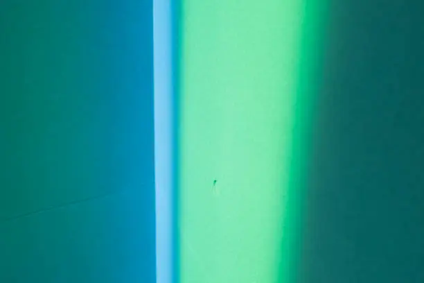 Photo of Gradient green and blue light mapped on the cement wall