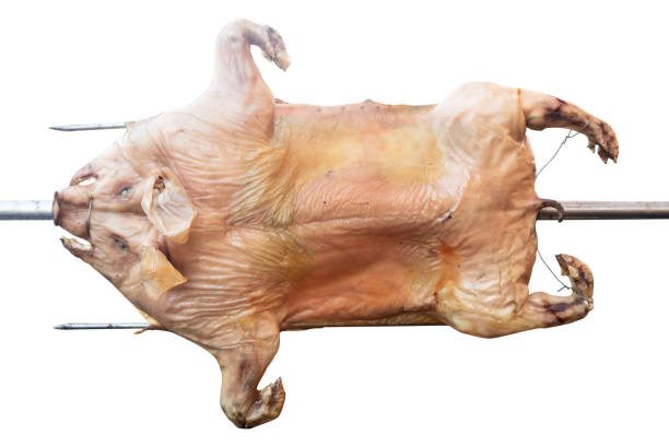 raw suckling pig skewers isolated on a white background