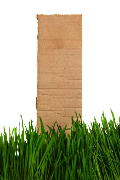 Cardboard in the Grass Isolated on the White Background