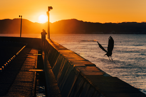 Computer generated 3D illustration with a seagull over the sea at sunset