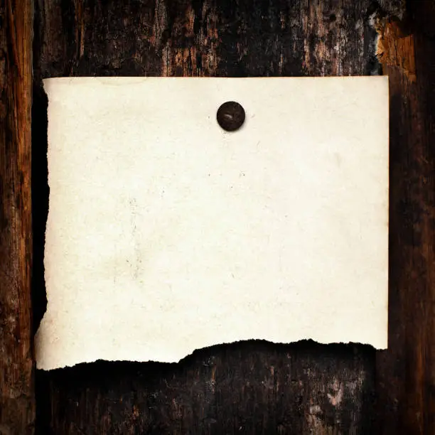 Blank Paper hanging on the Wooden Background
