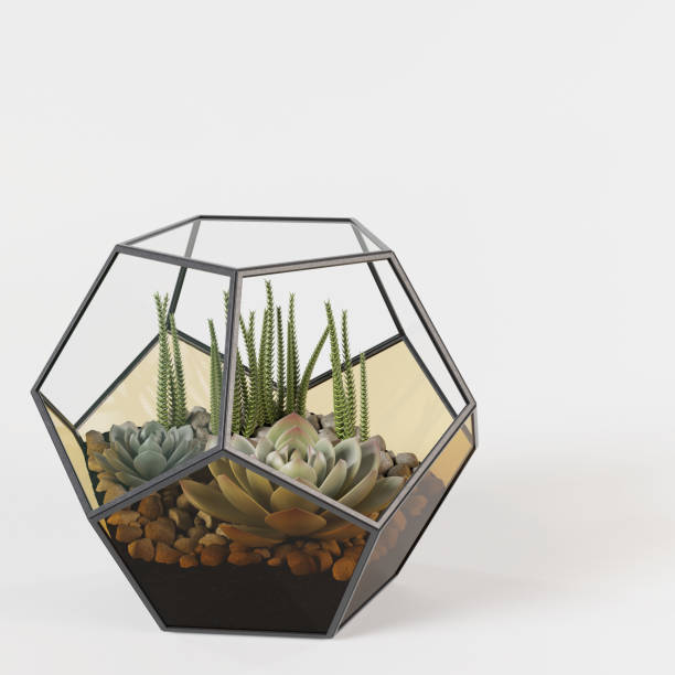 istock Decorative flora in glass cage isolated on white background, 1361216119