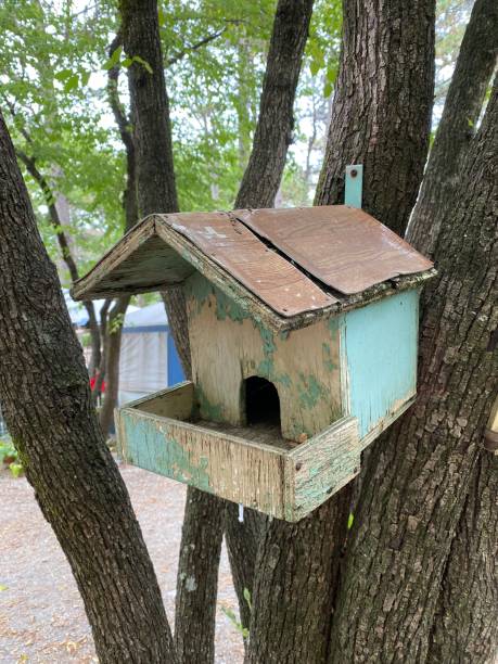 istock Italy Objects Furniture various object on a campsite - Birdhouse 1361219545