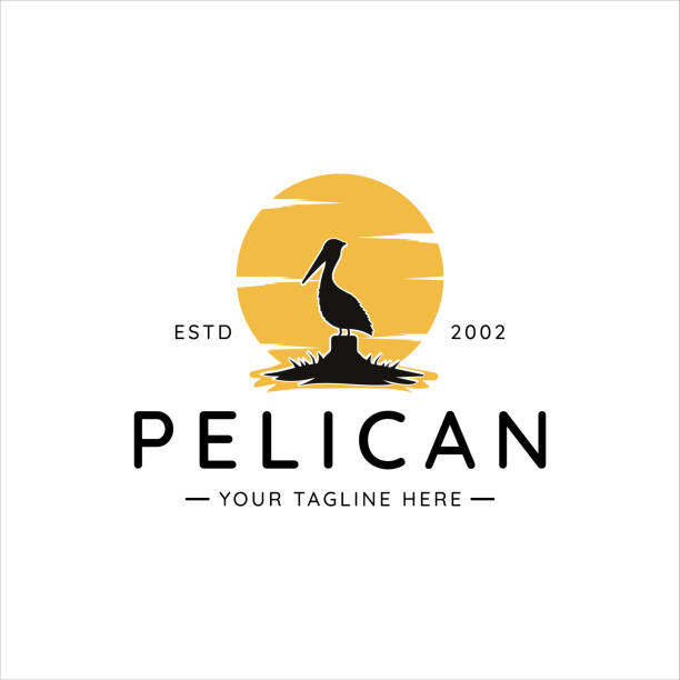 ilustrações, clipart, desenhos animados e ícones de logotipo de pássaro pelicano vintage modelo de ilustração vetorial ícone design gráfico. silhueta de animal com fundo pôr do sol no rio - pelicano
