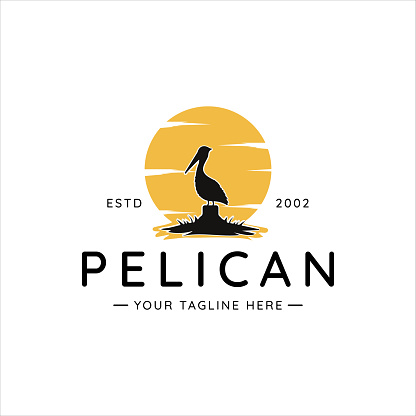 pelican bird  vintage vector illustration template icon graphic design. silhouette of animal with background sunset at river