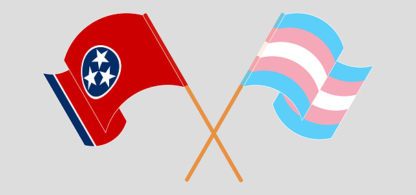 Crossed and waving flags of The State of Tennessee and Transgender Pride. Vector illustration
