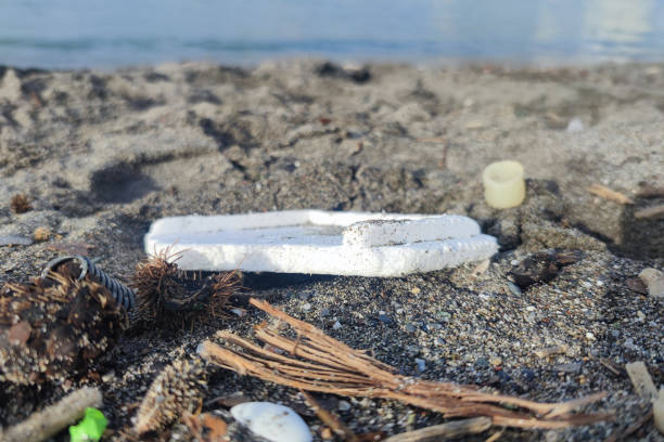 istock Plastic waste rubbish garbage on the beach 1361246994