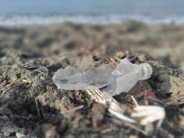 istock Plastic waste rubbish garbage on the beach 1361248597