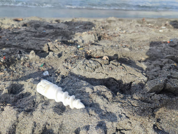 istock Plastic waste rubbish garbage on the beach 1361249125