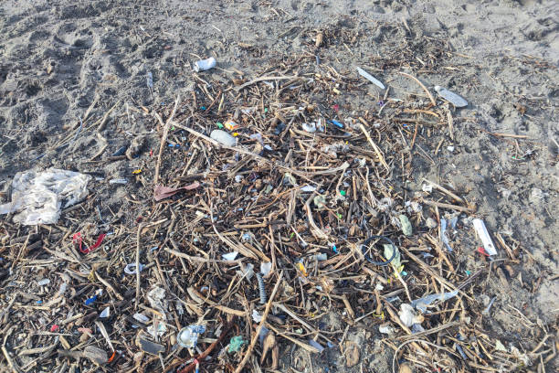 istock Plastic waste rubbish garbage on the beach 1361249128