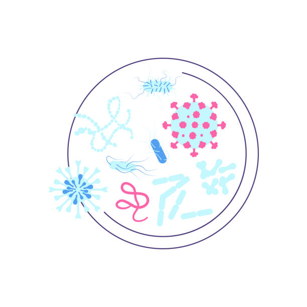 ilustraciones, imágenes clip art, dibujos animados e iconos de stock de placa de petri con diversas bacterias y virus. ciencia, química y exploración - petri dish bacterium virus laboratory