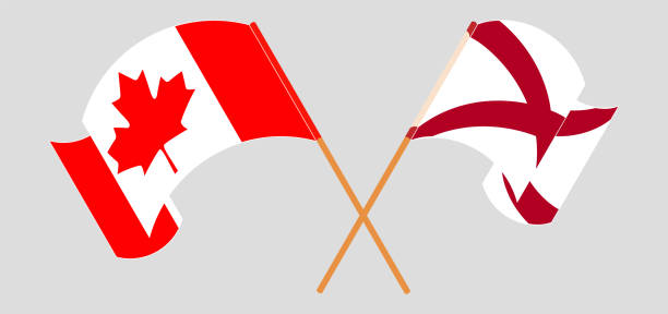 Crossed and waving flags of Canada and The State of Alabama Crossed and waving flags of Canada and The State of Alabama. Vector illustration alabama football stock illustrations