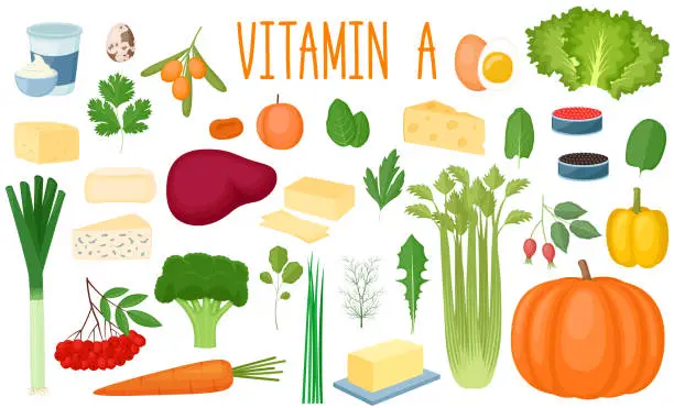 Vector illustration of Set of vitamin A sources. Healthy food. Collection of vegetables, greens, milk products and eggs enriched vitamin C. Vector illustration