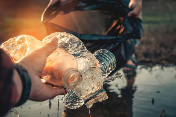 istock Cropped Hand Of Person Disposing Plastic Bottles 1361259038