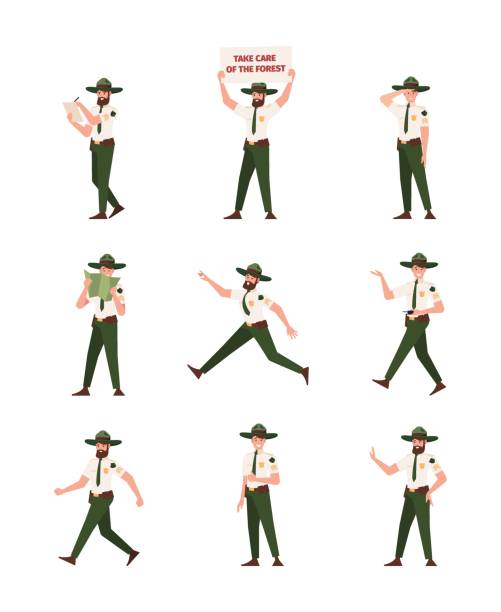 Park rangers. National wood protection persons adventure scouters camping job veterinary guards foresters garish vector illustrations of rangers Park rangers. National wood protection persons adventure scouters camping job veterinary guards foresters garish vector illustrations of rangers. Forest ranger, man in uniform guard park ranger stock illustrations