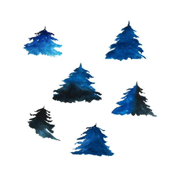 istock Set of spruce blue trees isolated on white background. Watercolor hand drawing illustration. Perfect for card, banner, poster, decoration. Evergreen tree. 1361273920