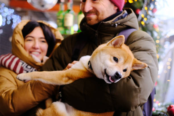 ミンスク、ベラルーシ、2021年12月25日:若いカップルが赤毛のペット犬秋田犬を抱きしめる。新年のフェアで男女、幸せで笑顔 - pet fair ストックフォトと画像