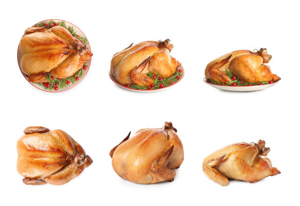 Collection of cooked turkey on white background
