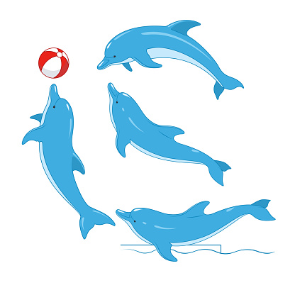 Set of blue dolphins. Vector illustration, isolated, on white background.