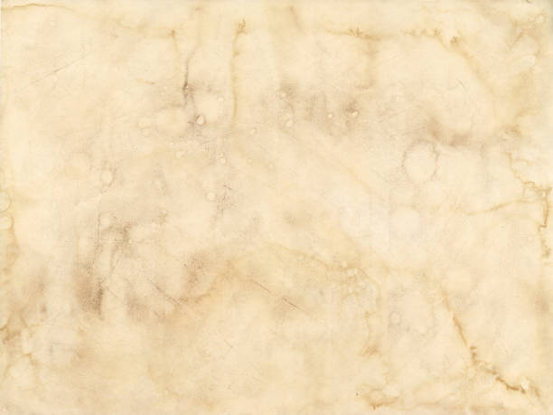 istock Old grunge paper sheet. Parchment texture background 1361275570