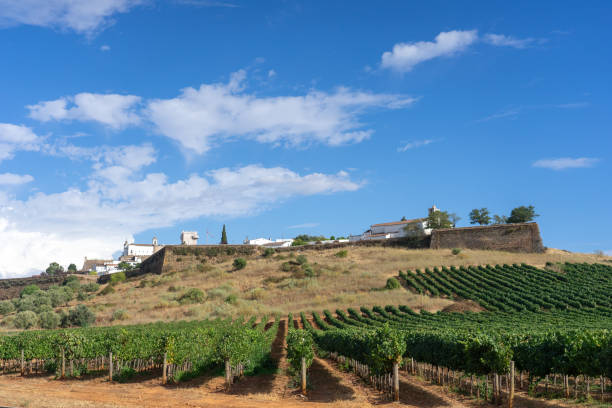 Vineyards and walls of the castle of the Medieval village of Estremoz in Alentejo region in Portugal. Estremoz, Portugal - August 31, 2021: Vineyards and walls of the castle of the Medieval village of Estremoz in Alentejo region in Portugal. fiels stock pictures, royalty-free photos & images