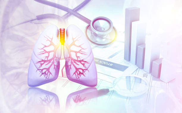 human lungs on scientific background. 3d illustration - lobe imagens e fotografias de stock