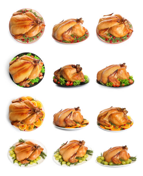 istock Collection of cooked turkey with different garnishes on white background 1361279042